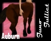 Male Centaur Auburn