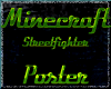 Minecraft -Streetfighter
