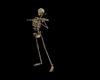 violin playing skeleton