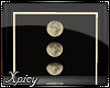 [X] Moon Phases | Pictur
