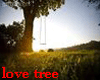 The Lovers Tree Swing