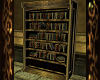 ᘡEruᘞ Bookshelf