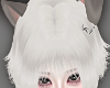 NNN.wShiro Wolf Cut