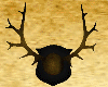 [bu]Medieval Antlers