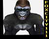 Giganti Gorilla