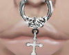 Cross Septum