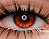e. Eyes