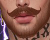 A. Mustache Ginger