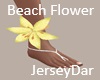 Beach Flower Yellow