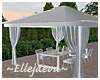 Canopy with Dining Table