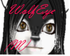 (M) Wolfs brown eye's