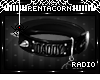 Custom Collar 2