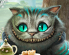 (M) Cheshire Cat