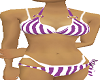 bikini stripes purple