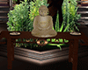buddha on table