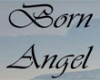 ~NS~ Born Angel sticker
