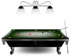 Real Working Pool Table
