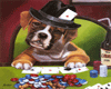 Dog - Poker Pup 1