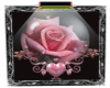 Valentine Pink Rose