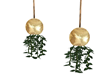  gold hanging plant