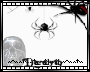 (D)Spider