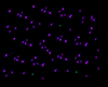 Purple Floor Particles