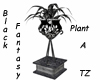 TZ Black Fantasy Plant A
