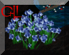 GIL"flower1 Anim