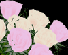 Pink/Cream Flowers ~XN