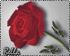 ^B^ Red Rose in hand