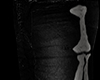 SKELETON SHORTS