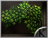(K) Allure-Plants Rug