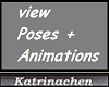  View Poses / Animations