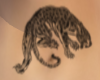 Belly Leopard Tattoo