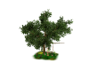 Avatar tree/swing