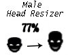 Scaler Head 77%
