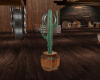 (S)Barrel w Cactus