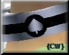 {CW}Chrome Spaid Collar