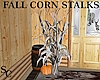 SC Fall Corn Stalks