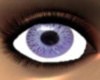 Purple Doll Eye's