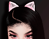 Q! Cat Ears . Pink .