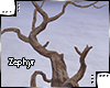 [Z.E] Tree Branches