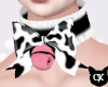 CK* Black Cow Choker