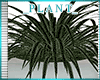 *A* LS Plant 1