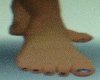 Small Feet Star Toes