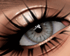 TT!Blue Eyes