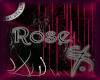 [R] Rose Rug v1