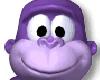 Purple Monkey Saying