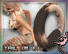 (IR)Ren Furry: Tails