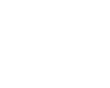 Wild Flower bomber